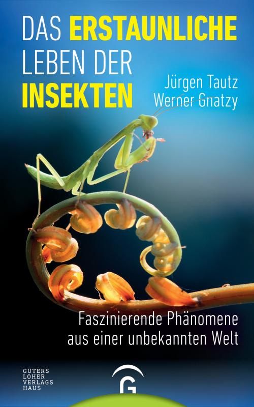 Cover-Bild Das erstaunliche Leben der Insekten