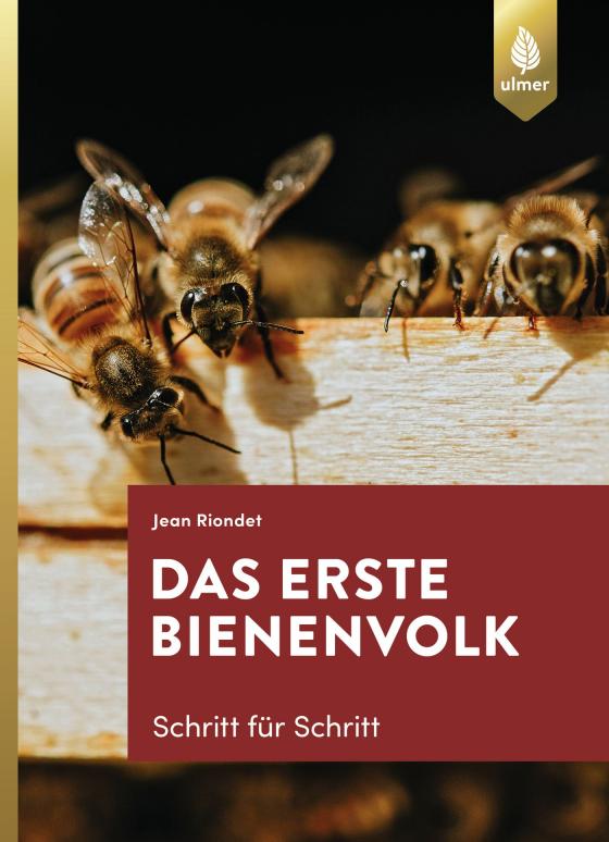 Cover-Bild Das erste Bienenvolk - Schritt für Schritt