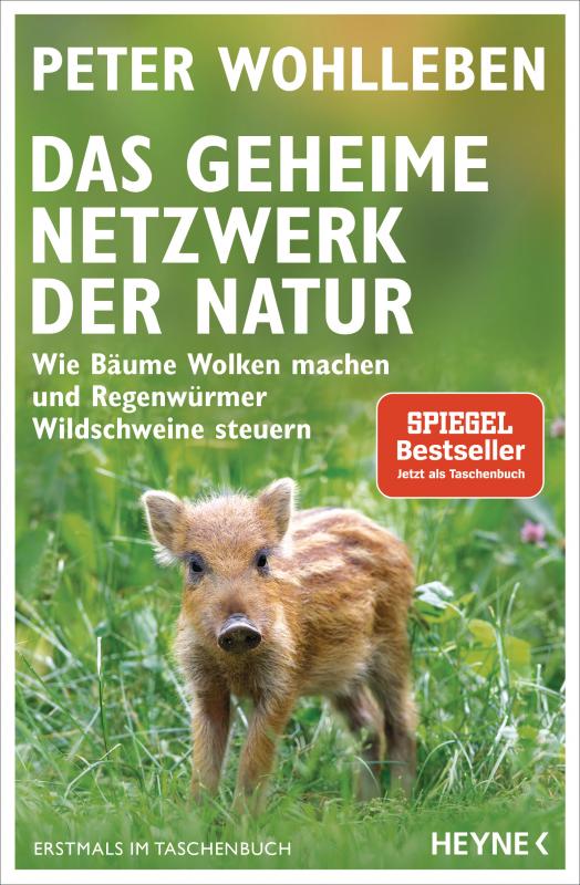 Cover-Bild Das geheime Netzwerk der Natur