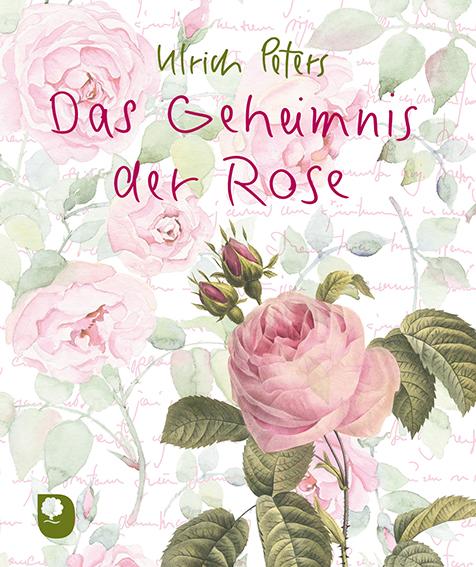 Cover-Bild Das Geheimnis der Rose