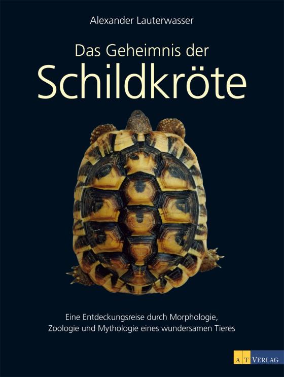 Cover-Bild Das Geheimnis der Schildkröte