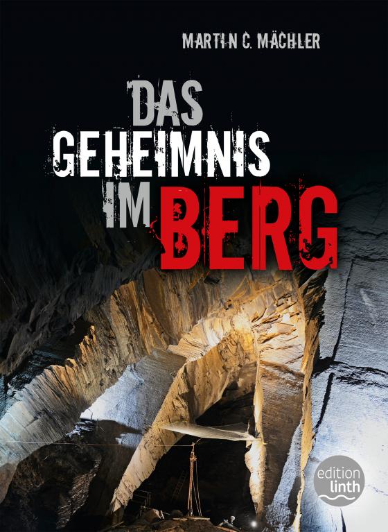 Cover-Bild Das Geheimnis im Berg