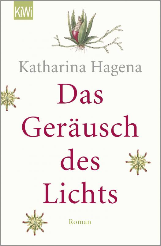 Cover-Bild Das Geräusch des Lichts