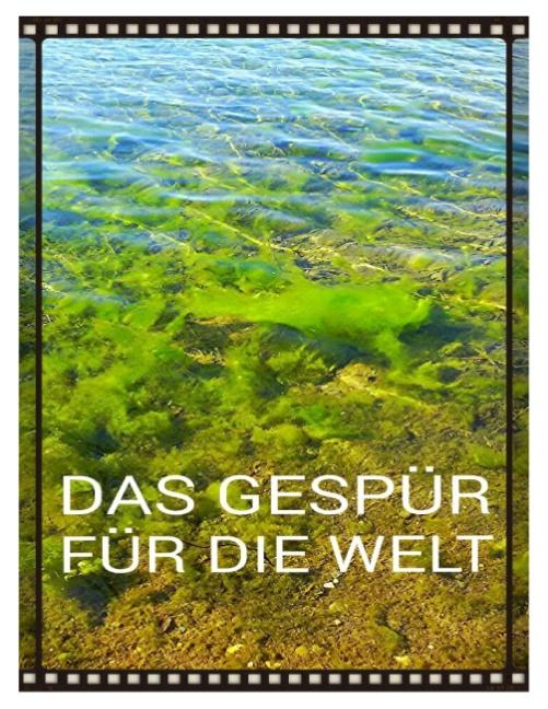 Cover-Bild Das Gespür für die Welt