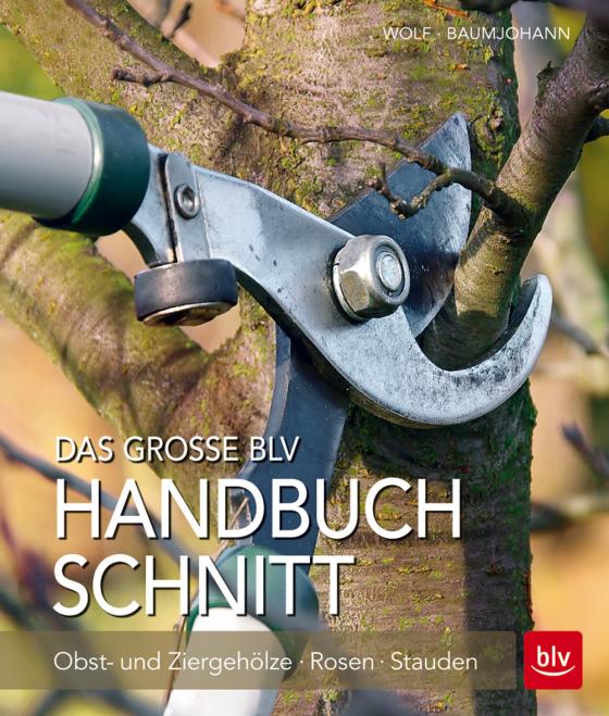 Cover-Bild Das große BLV Handbuch Schnitt