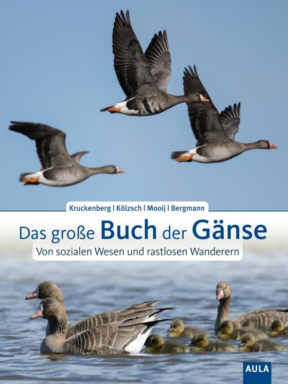 Cover-Bild Das große Buch der Gänse