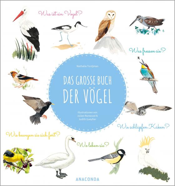 Cover-Bild Das große Buch der Vögel