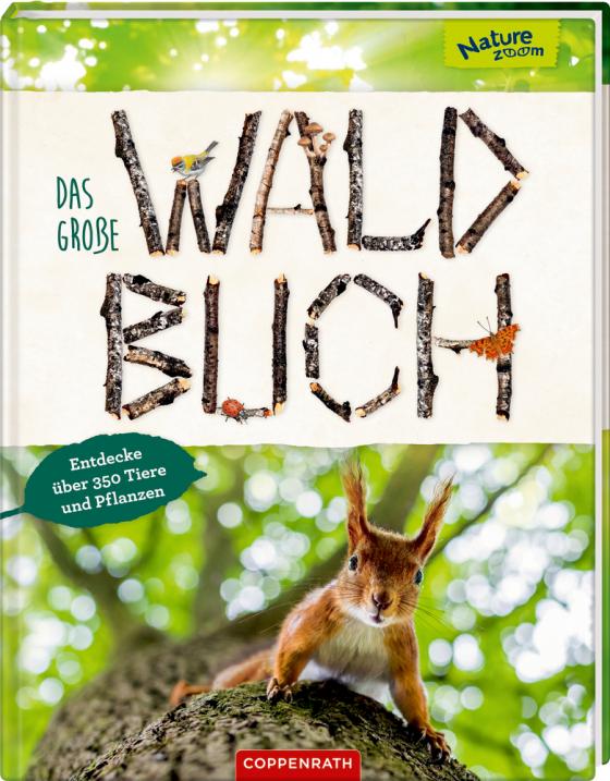 Cover-Bild Das große Waldbuch