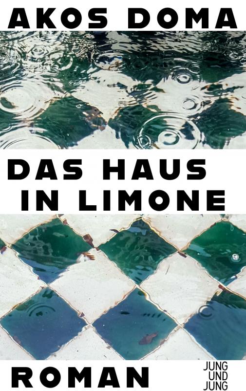 Cover-Bild Das Haus in Limone