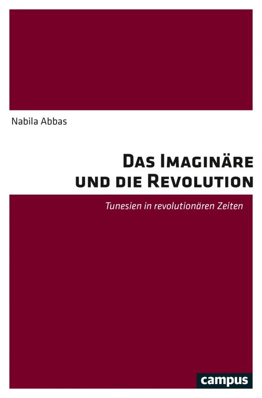 Cover-Bild Das Imaginäre und die Revolution
