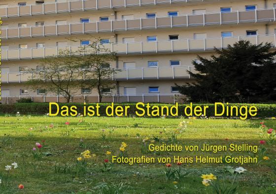 Cover-Bild Das ist der Stand der Dinge