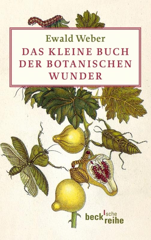 Cover-Bild Das kleine Buch der botanischen Wunder