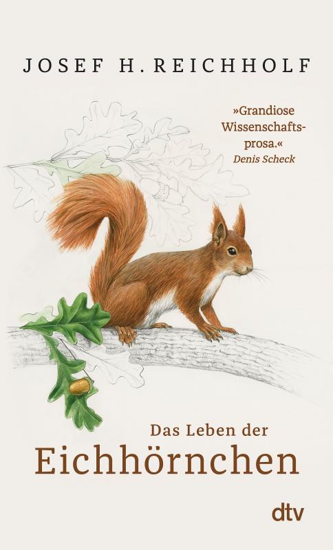 Cover-Bild Das Leben der Eichhörnchen