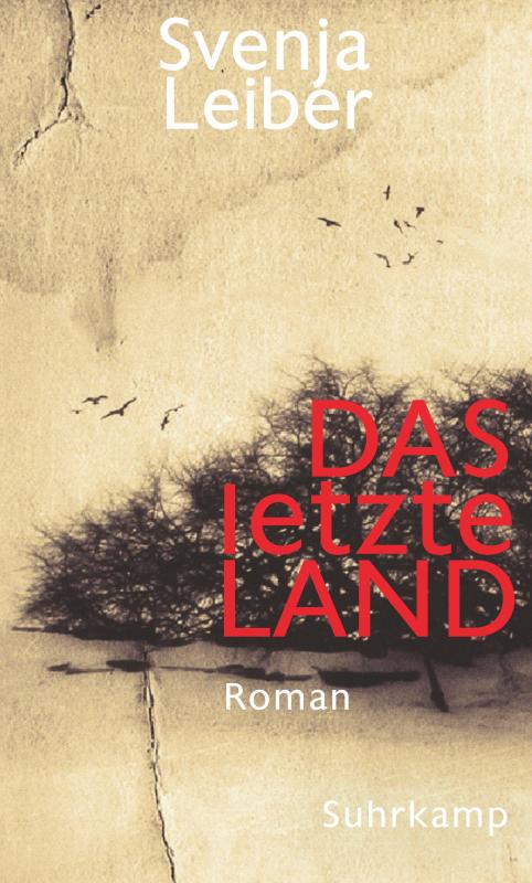 Cover-Bild Das letzte Land