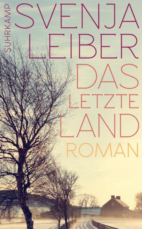 Cover-Bild Das letzte Land