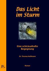 Cover-Bild Das Licht im Sturm