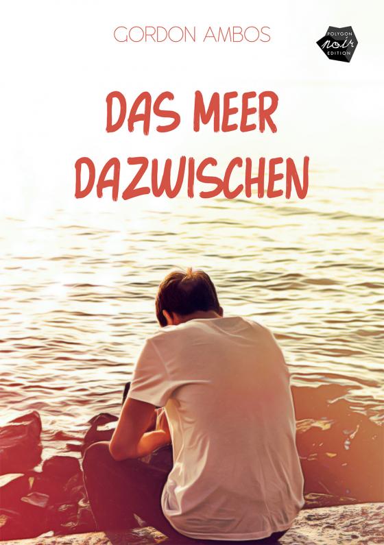 Cover-Bild Das Meer dazwischen