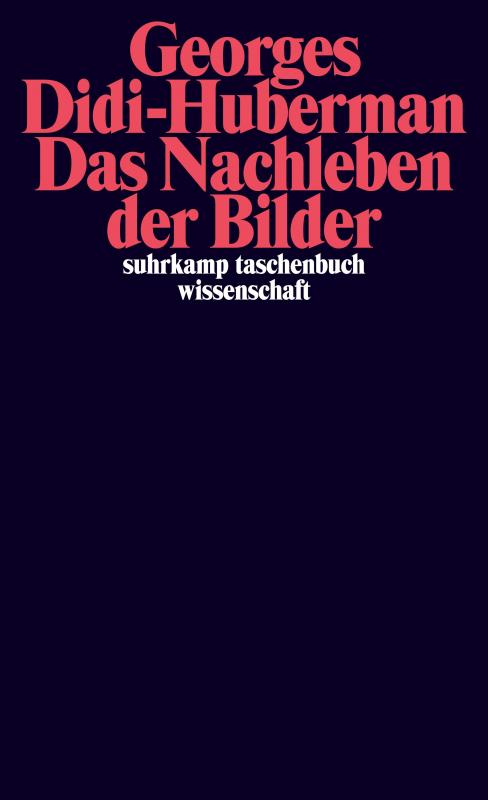 Cover-Bild Das Nachleben der Bilder