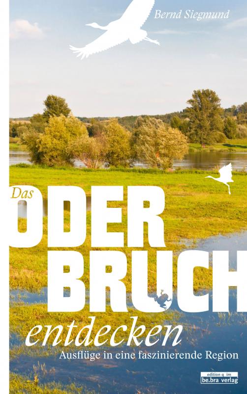 Cover-Bild Das Oderbruch entdecken