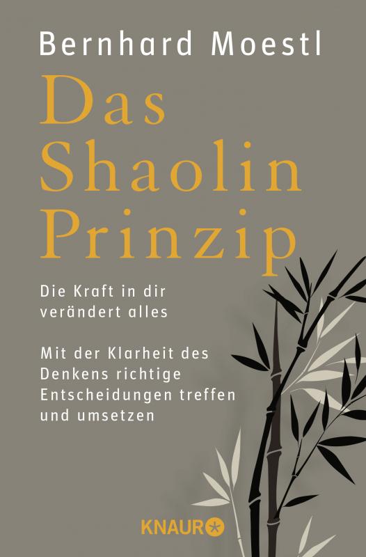 Cover-Bild Das Shaolin-Prinzip