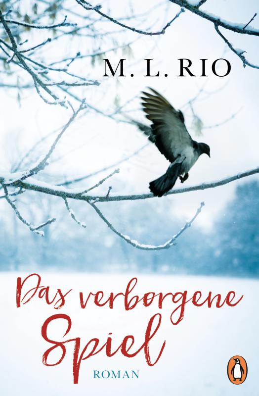 Cover-Bild Das verborgene Spiel