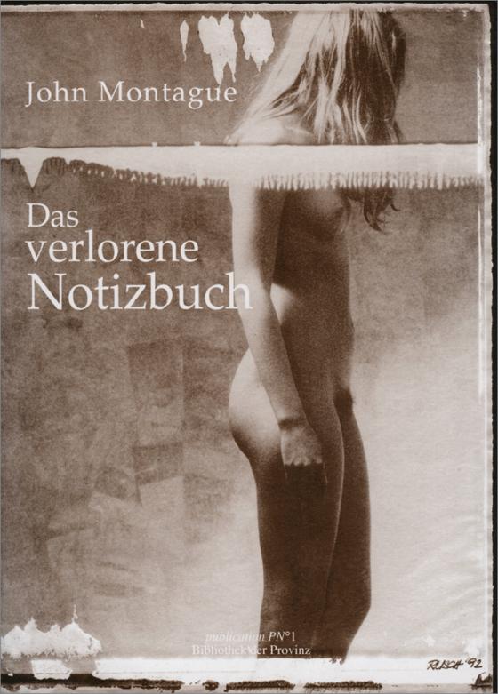 Cover-Bild Das verlorene Notizbuch