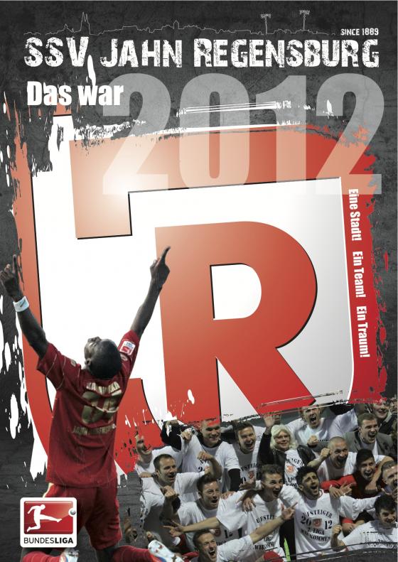 Cover-Bild Das war 2012 - Das Jahrbuch des SSV Jahn Regensburg