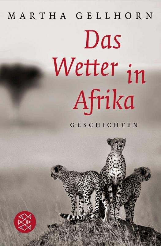 Cover-Bild Das Wetter in Afrika