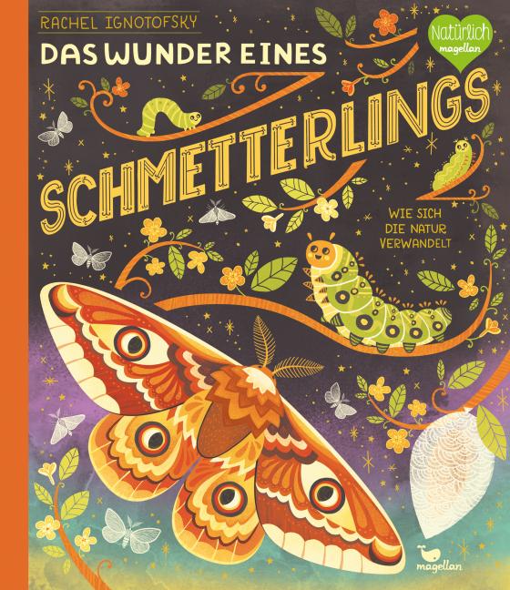 Cover-Bild Das Wunder eines Schmetterlings - Wie sich die Natur verwandelt