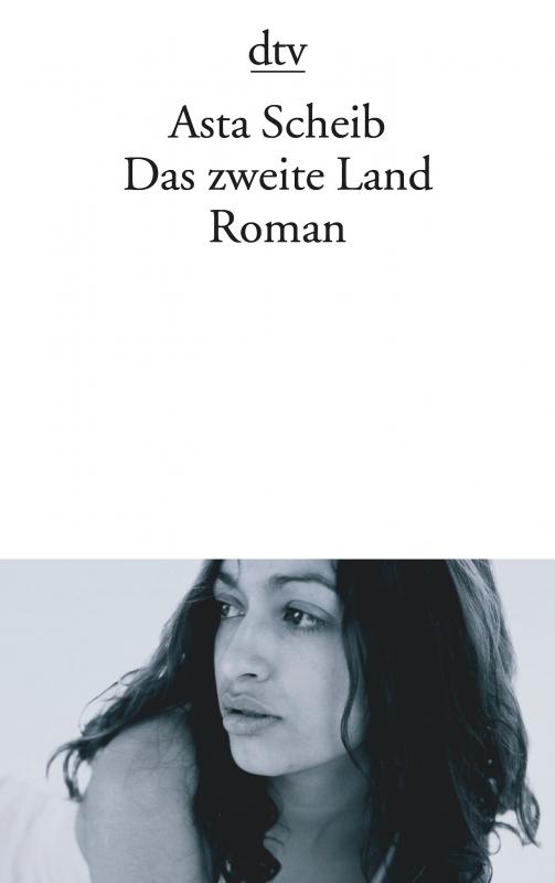 Cover-Bild Das zweite Land