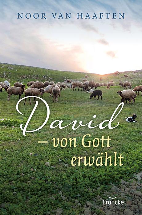 Cover-Bild David - von Gott erwählt