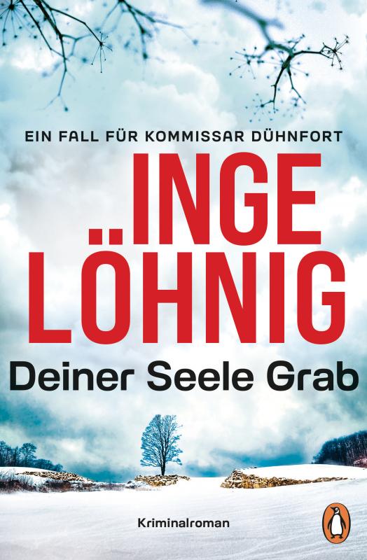 Cover-Bild Deiner Seele Grab (Dühnfort 6)