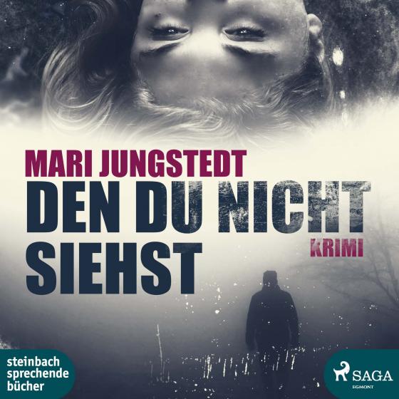 Cover-Bild Den du nicht siehst