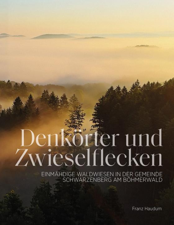 Cover-Bild Denkörter und Zwieselflecken