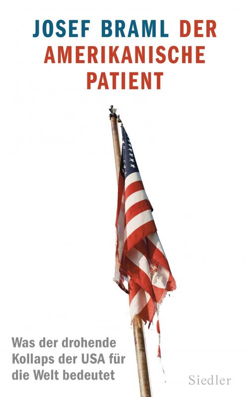 Cover-Bild Der amerikanische Patient