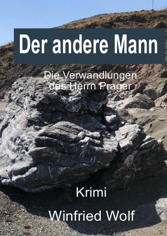 Cover-Bild Der andere Mann