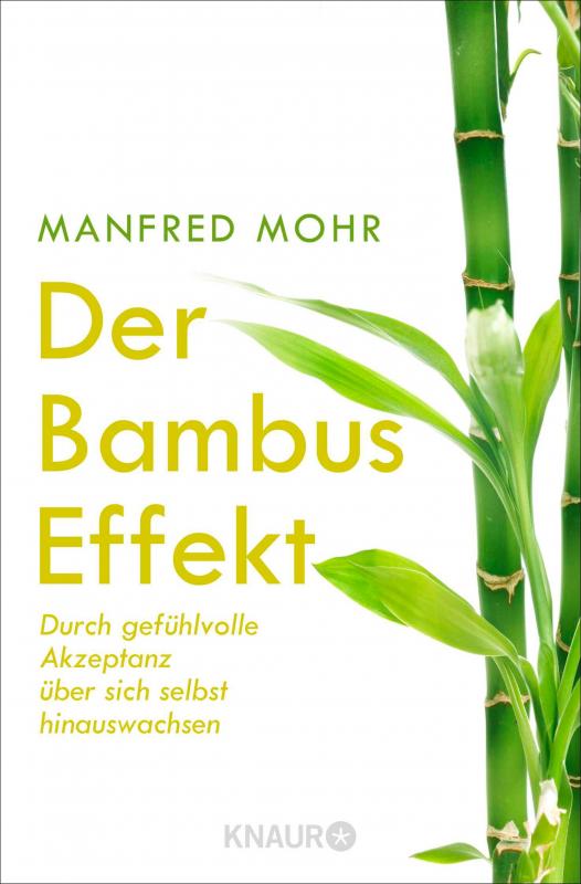 Cover-Bild Der Bambus-Effekt