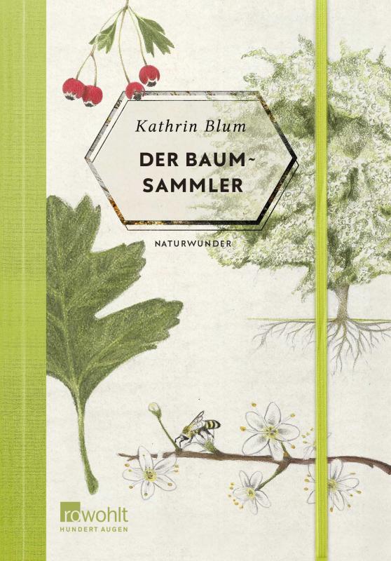 Cover-Bild Der Baumsammler