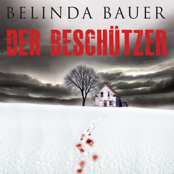 Cover-Bild Der Beschützer