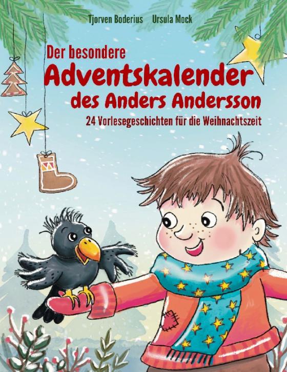 Cover-Bild Der besondere Adventskalender des Anders Andersson