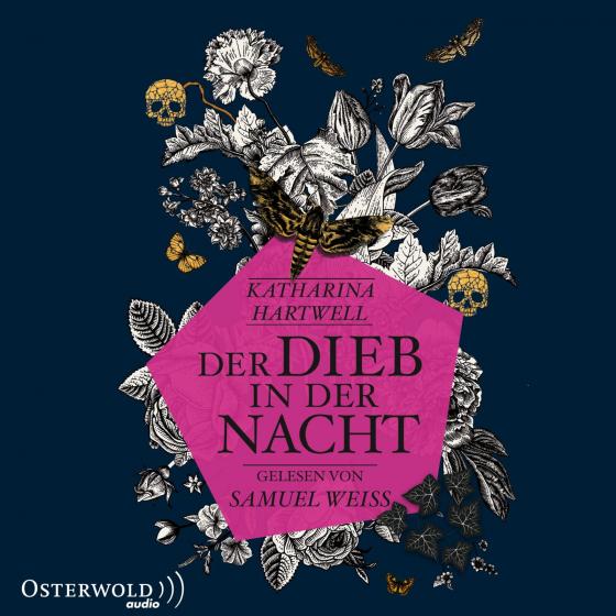 Cover-Bild Der Dieb in der Nacht