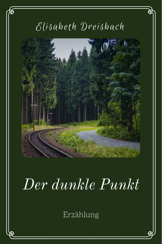 Cover-Bild Der dunkle Punkt