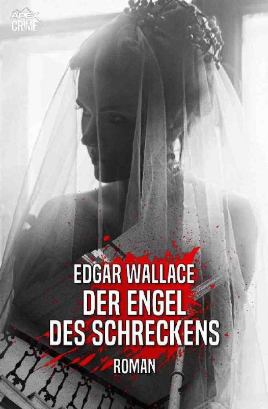 Cover-Bild DER ENGEL DES SCHRECKENS