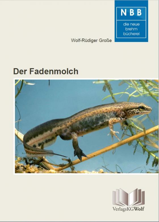 Cover-Bild Der Fadenmolch