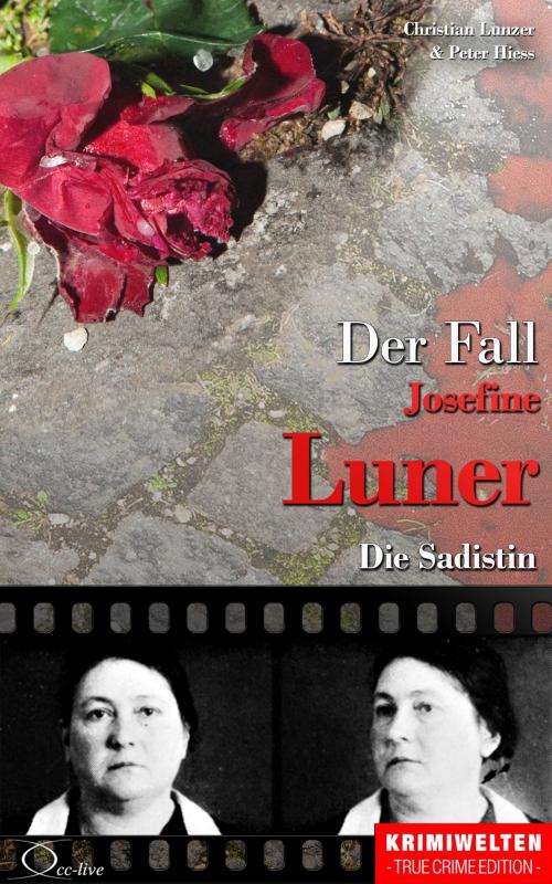 Cover-Bild Der Fall Josefine Luner