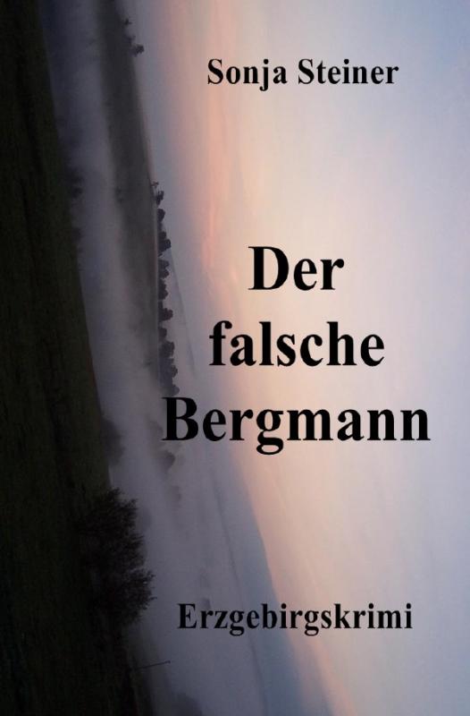 Cover-Bild Der fasche Bergmann