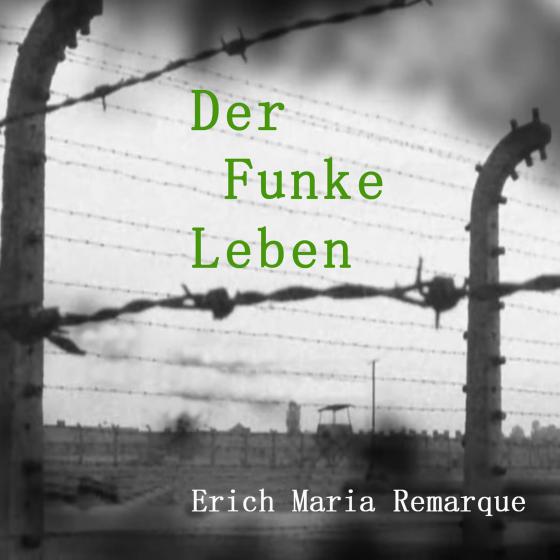 Cover-Bild Der Funke Leben