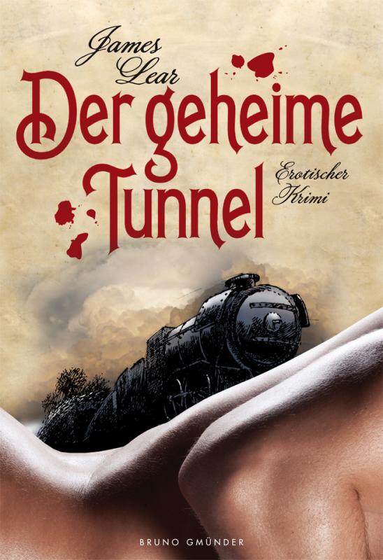 Cover-Bild Der geheime Tunnel