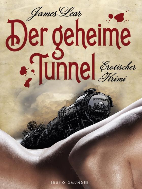 Cover-Bild Der geheime Tunnel