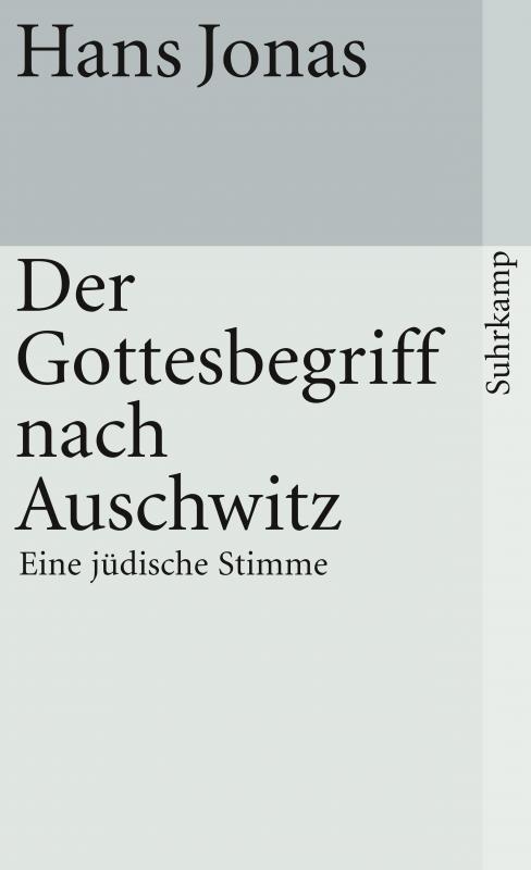 Cover-Bild Der Gottesbegriff nach Auschwitz